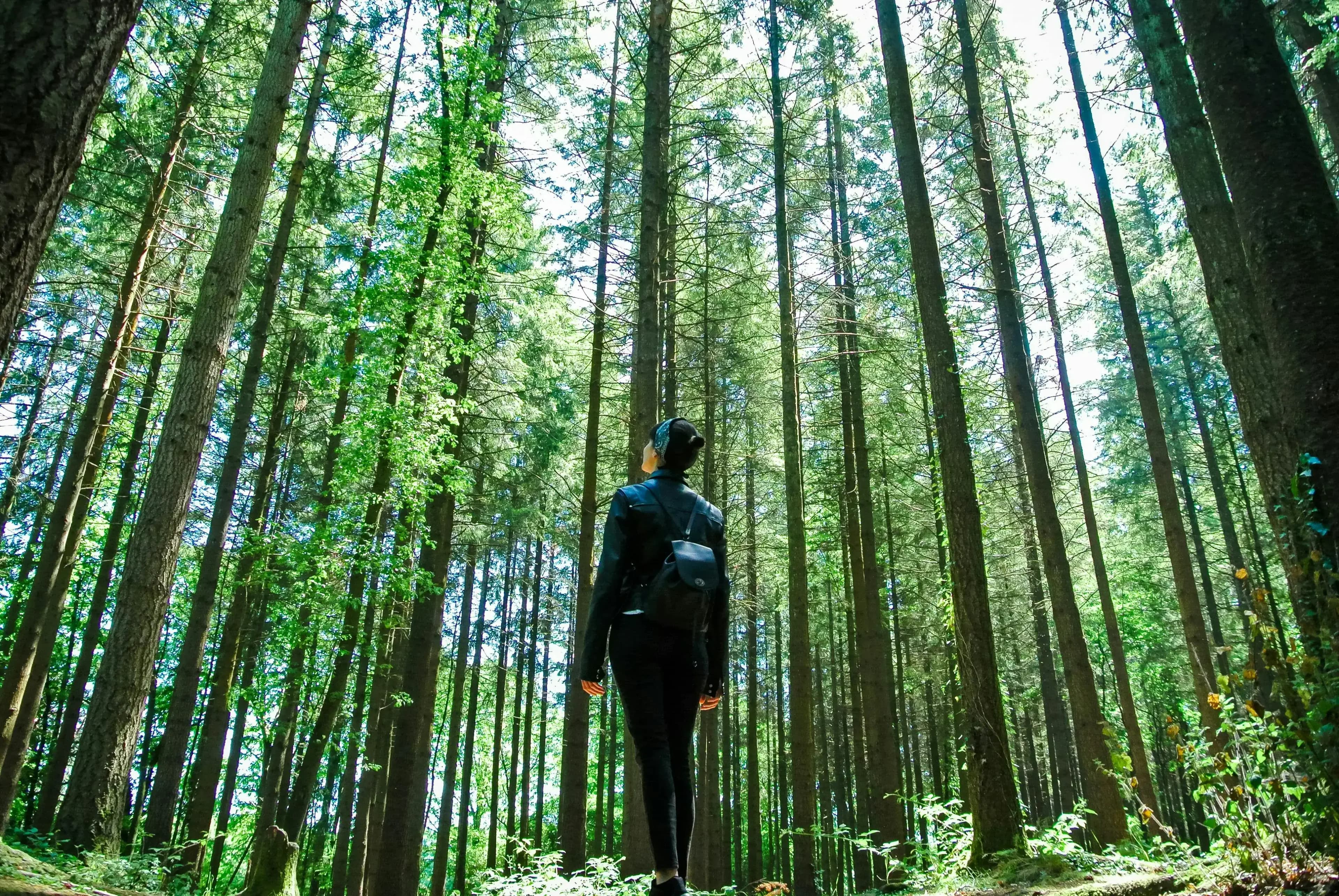 Créateur d'Explorun sur le terrain