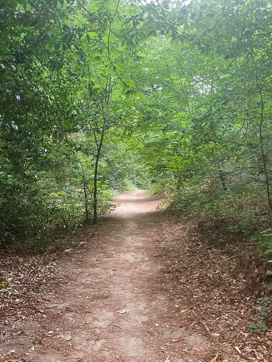 Dans la vallée de St Anne, parcours à Plouzané