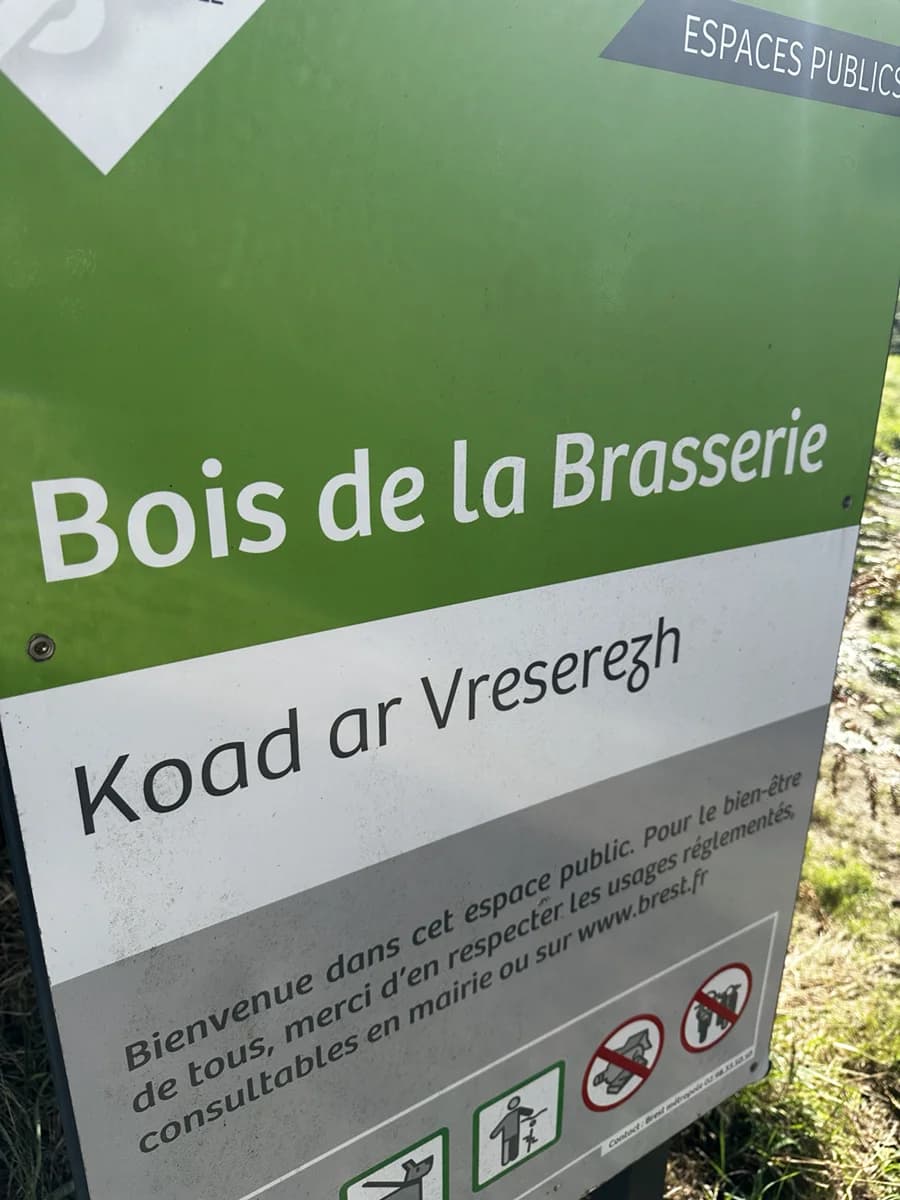 Bois de la Brasserie, parcours à Brest