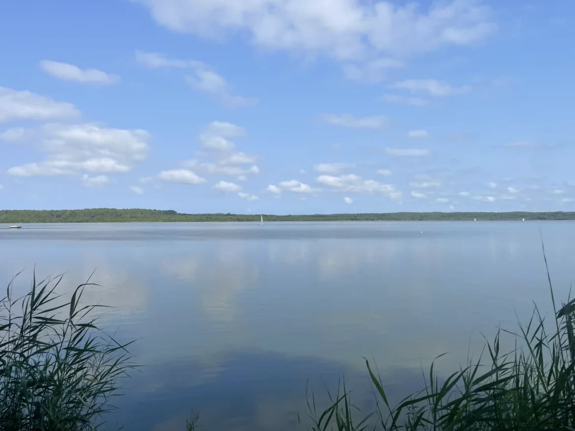 Étang de Soustons , parcours à Soustons