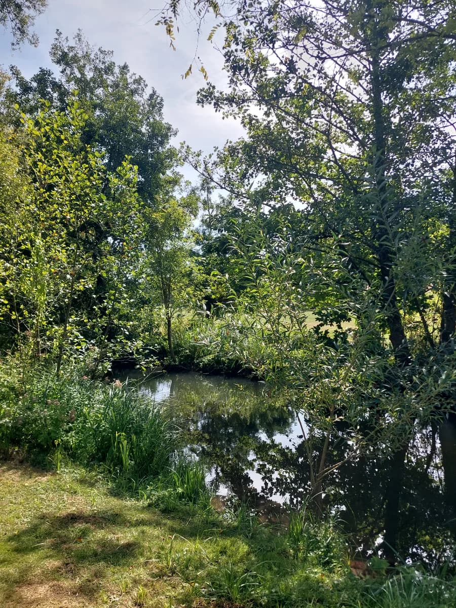 Trail'O du val de Viosne , parcours à Boissy l'alleirie